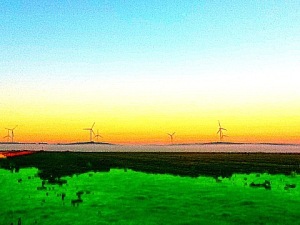 wind_turbines_image_by_susan_bentley